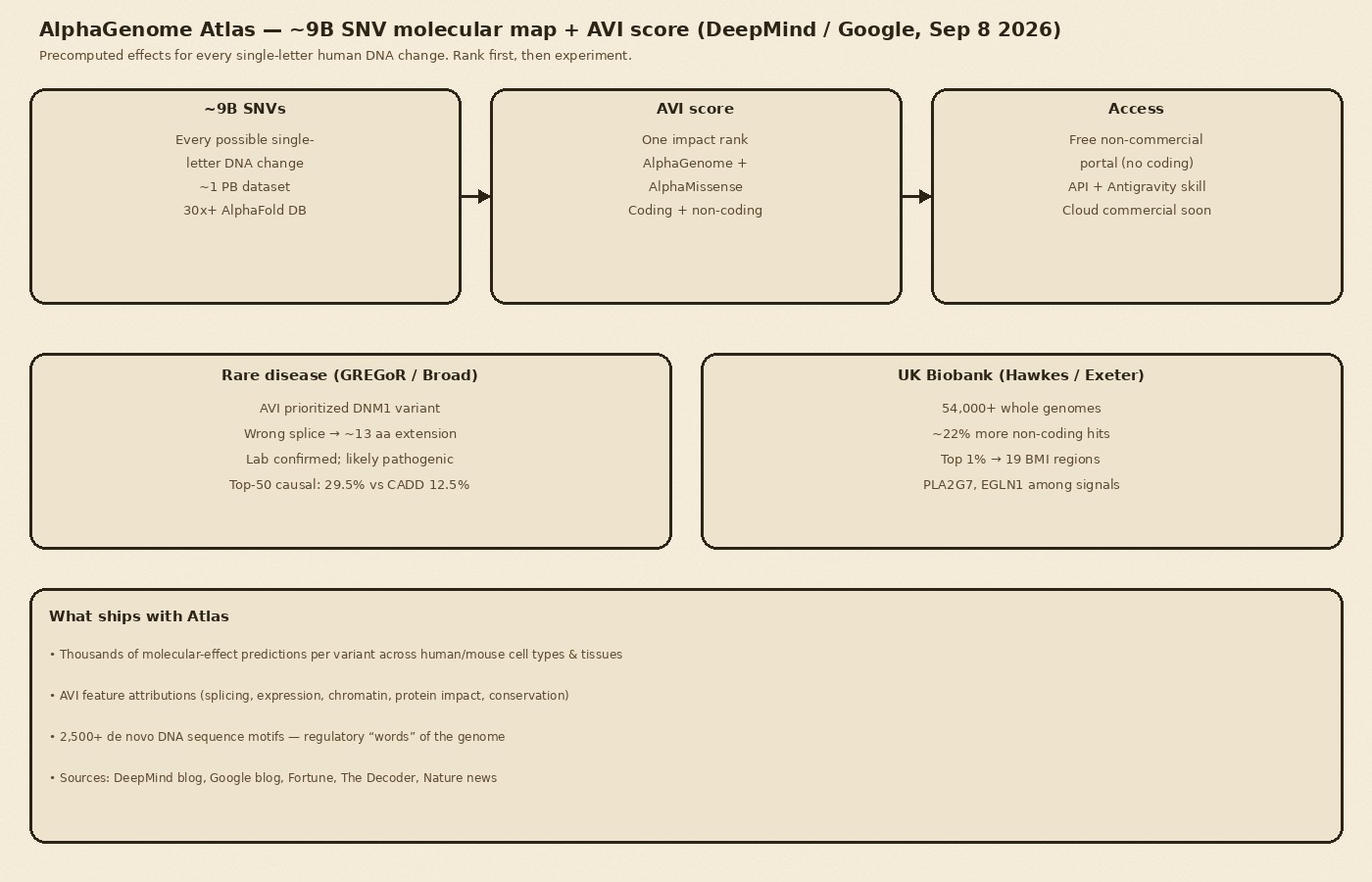 Cream-paper schematic of DeepMind AlphaGenome Atlas: 9 billion SNV predictions, AVI score, coding and non-coding coverage, rare-disease and UK Biobank use cases