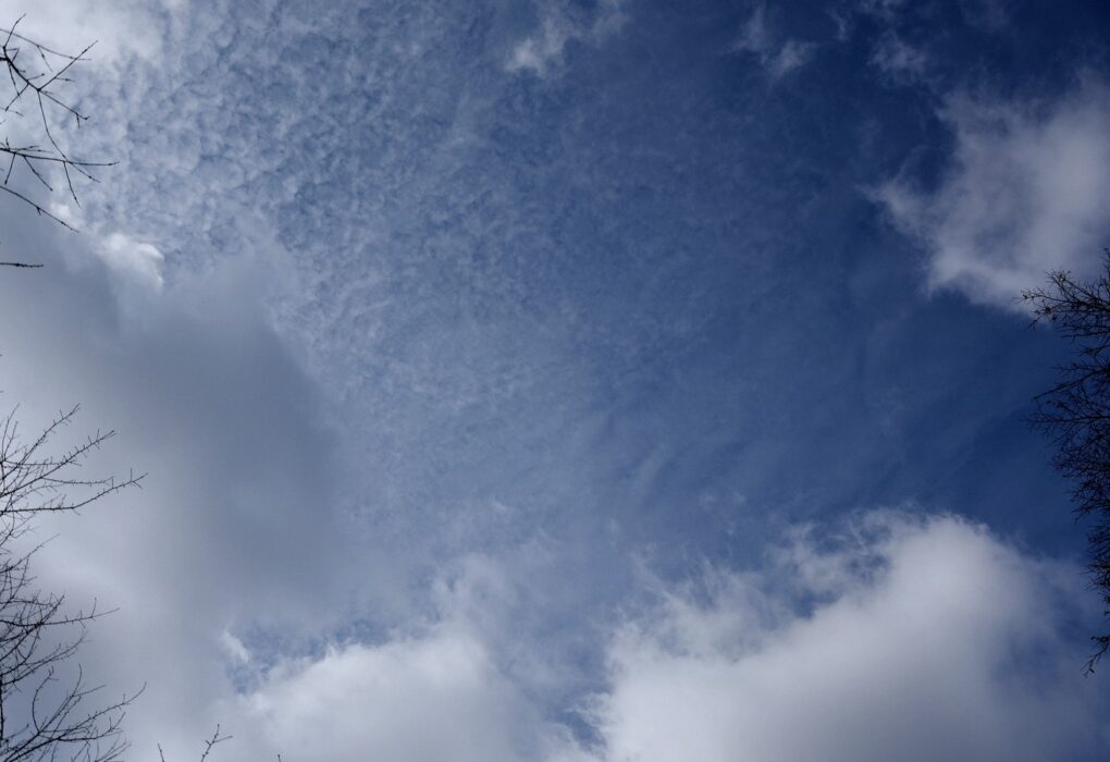 Open blue sky with white clouds, framed by bare branches, for Docker Cloud Sandboxes