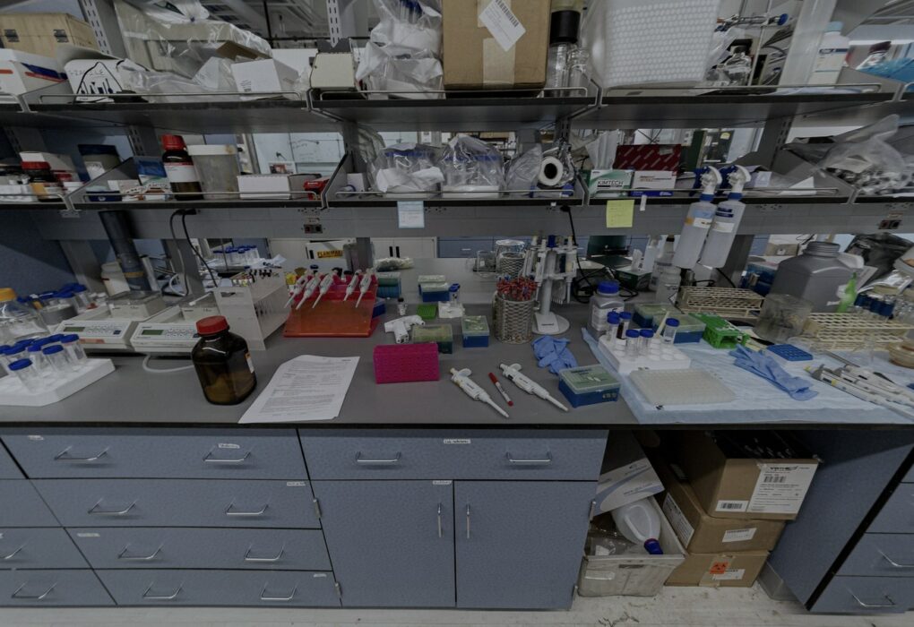Face-free laboratory bench with pipettes and research equipment for Mithrl biomedical AI, Sep 20 2026