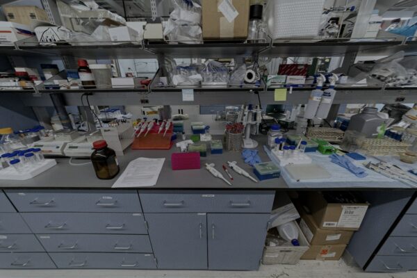 Mithrl’s $20M Series A — biomedical world model for biopharma