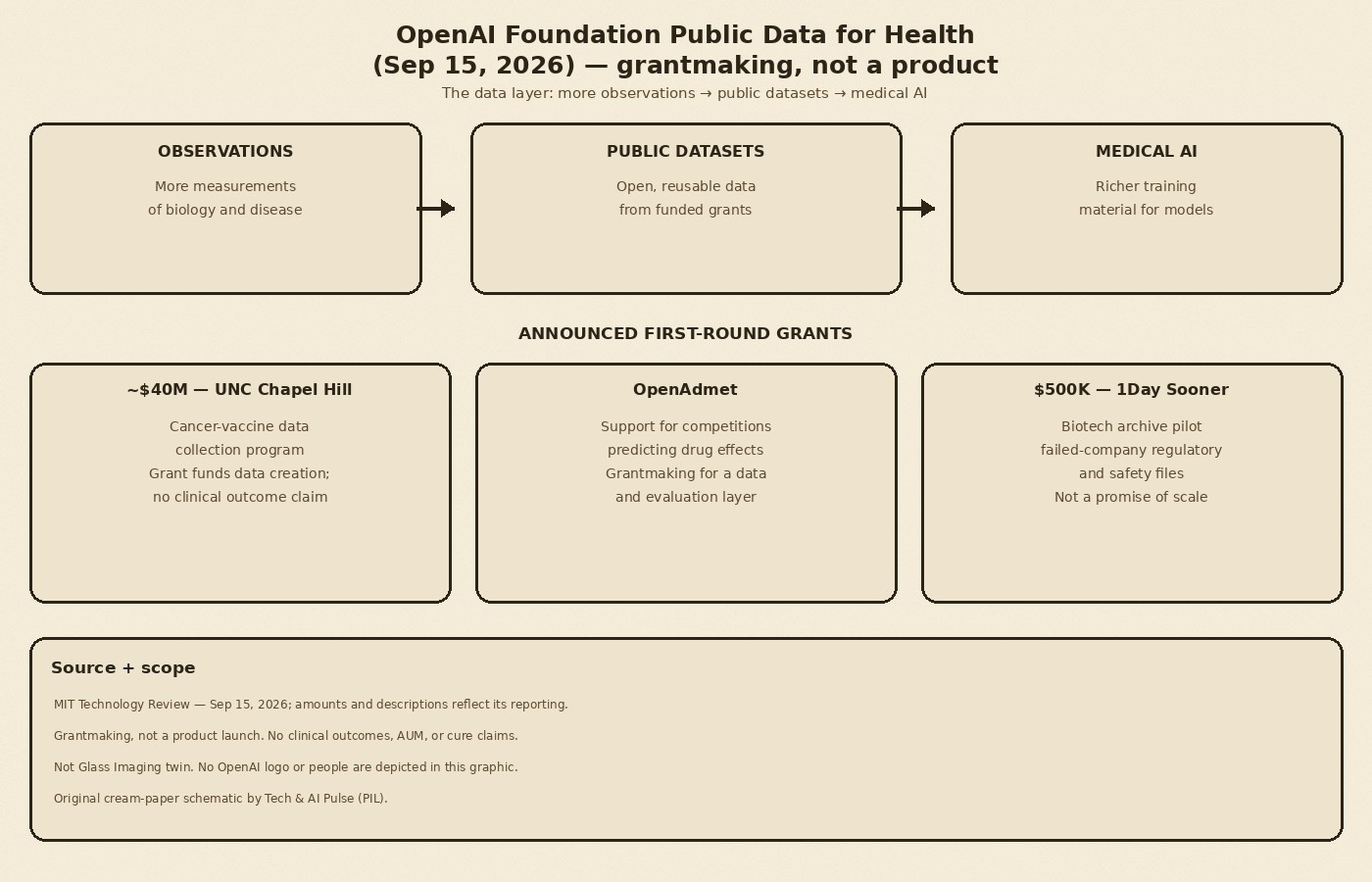 Cream-paper schematic: OpenAI Foundation Public Data for Health — observations to funded public biology datasets to medical AI; grants UNC cancer-vaccine data, OpenAdmet, 1Day Sooner archive